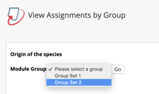 turnitin group assignment